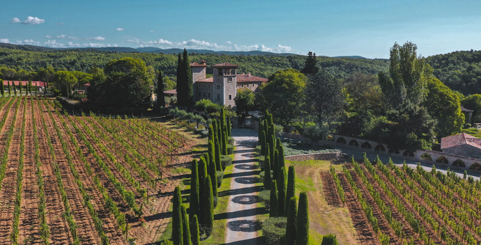 Nouvelle refonte design pour le site dédié au vin du Château de Berne